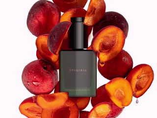 Visualization of cosmetic products for the Spagiria brand