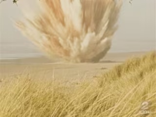 Exploding whale
