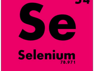 Selenium & Thyroid Health - NutriONN Supplements