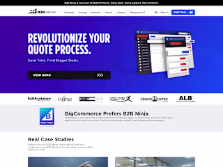 B2B Ninja Website