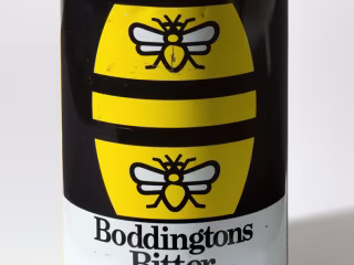 Blog Post: How bees have helped change the world