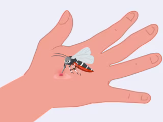 West Nile Virus: Symptoms, Treatment & Prevention