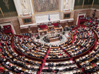 Parliamentary Assistant