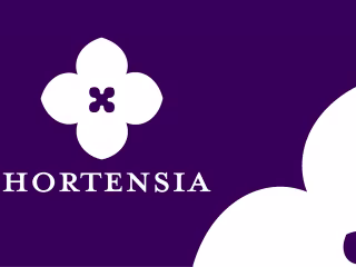 Graphic Chart for Haute Couture Brand : Hortensia