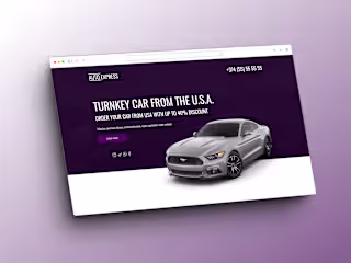 Creating Professional Websites