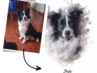 How Poster & Paw Became Australia’s Top Pet Portrait Ecommerce
