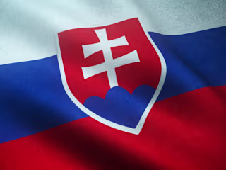 Slovak | PROOFREADING | Native speaker