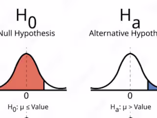 Statistical Analysis