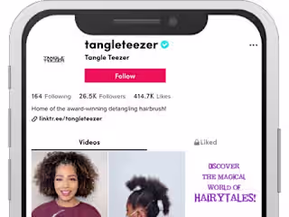 TikTok campaign