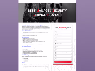 LTS Secure Partner Page Design on Behance