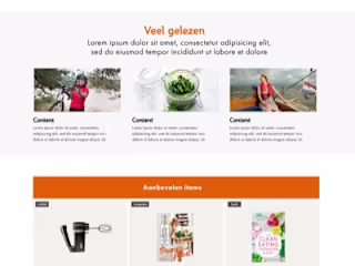 A New Lifestyle Platform for people with Diabetes - DVN