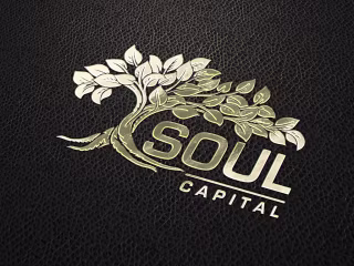 Concept Logo for Soul Capital on Behance