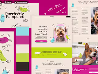 Visual Concepts for Purrfectly Pampered
