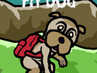Death of a fit dog