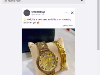 Facebook ads Gig For Crediblebuys