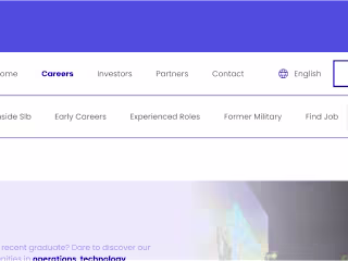 SLB Job Application Platform Case Study