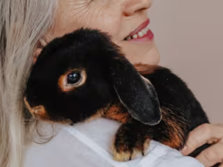 No Cosmetic Needs Tested on Animals to Prove It’s Safe