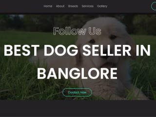 Puppies seller