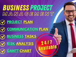 I will do project management plan, business task, risk report w…