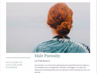 Hair Porosity Blog Article