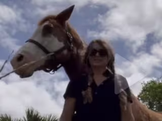 Equestrian Lifestyle and Brand Content