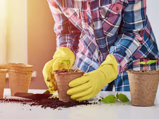 Blog about container gardening I wrote for a client on Fiverr