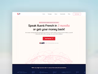 Website Design Collection