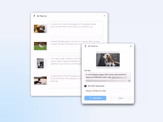 Framer Plugin - Alt Text Go 