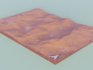 Sahara Desert
