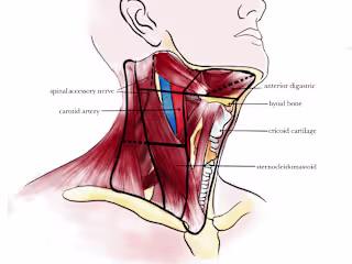 Medical Illustrations for Study Resource Publication 