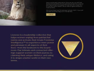 Lioness Squarespace Website