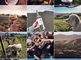 Photography & Branding for Mira Laguna Wines