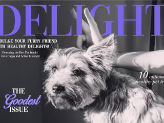 Delight, healthy pet treats. Brand Identity + Packaging Design. 