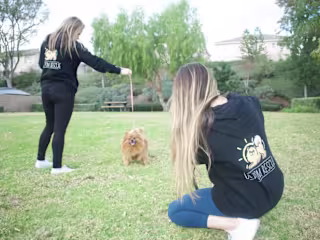 Building a Virtual Community for OC Pom Rescue