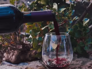 Reel For Wine Enthusiasts