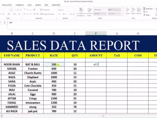 Microsoft Excel Data Entry - YouTube