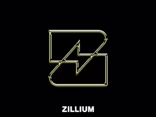 Zillium Brand Identity