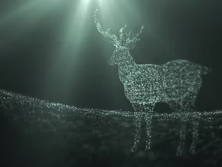 Motion Graphics Campaigns