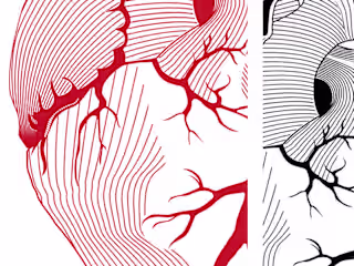 Heart illustration made for Wroclaw Medical Univeristy