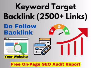 Website Keyword Target Backlink (2500 Links)