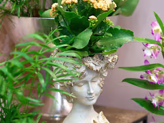 Atelier - Product Photography