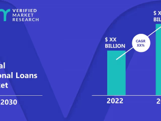 An In-Depth Exploration of the Loan Market