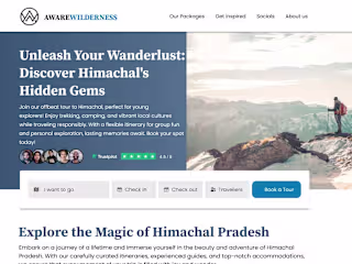 Transforming a Travel Website for Enhanced Sales Growth.