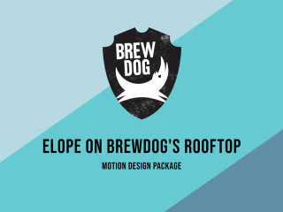 Brewdog - Digital Ads Motion Package