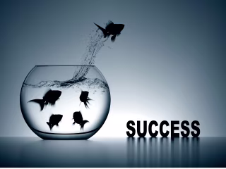 The Power of Persistence: Overcoming Obstacles To Reach Success