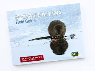 Mammals of Iowa Field Guide
