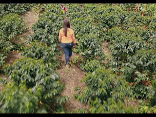 IBM Foodtrust Farmer Connect Featurette on Vimeo