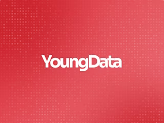 Youngdata: A Webflow Integration Tailored for Impact