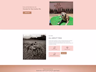 NGO Website
