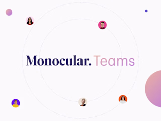 Monocular Teams